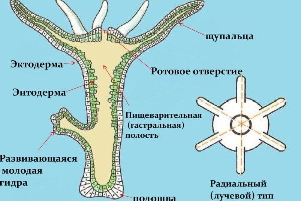 Настоящий сайт kraken