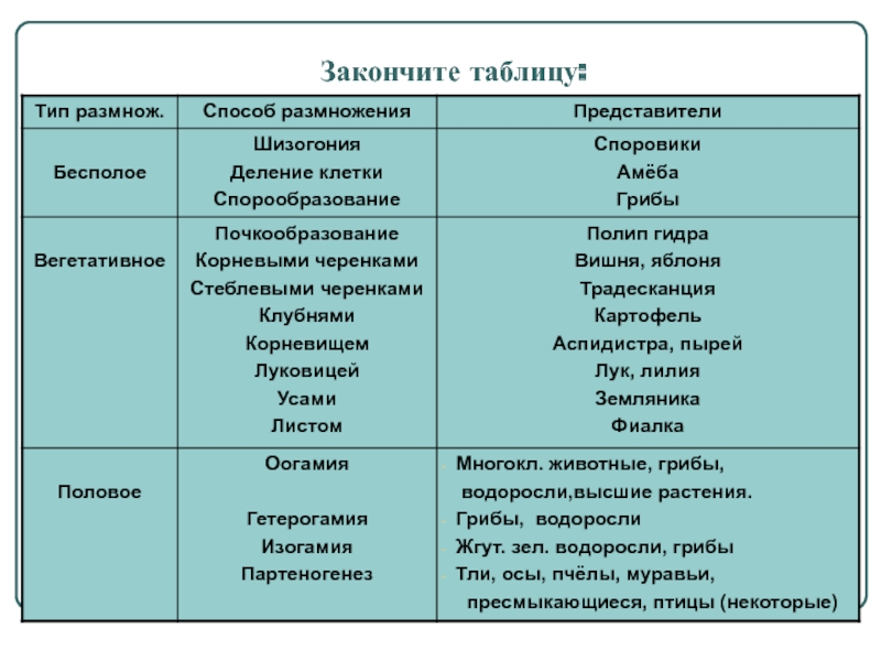 Кракен онион