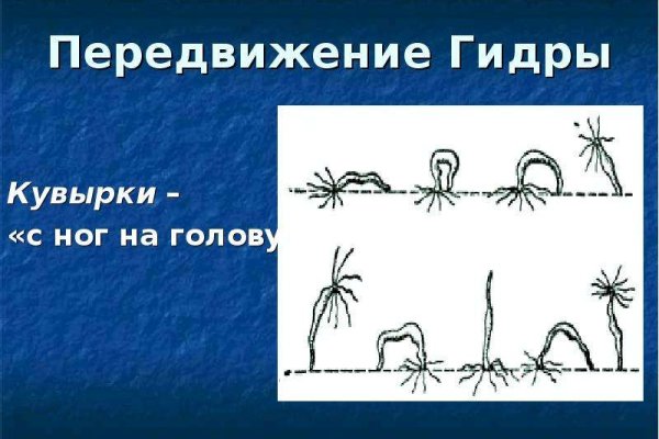 Как сделать заказ на кракен